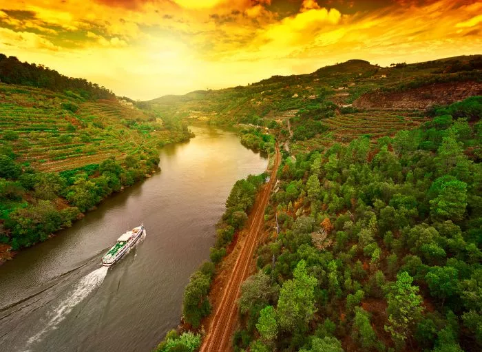 Vallée du Douro - Image 2