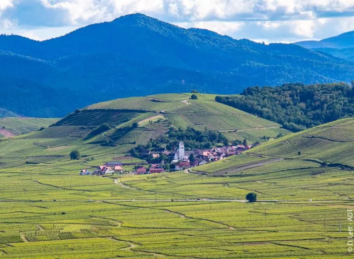 Véloroute du vignoble d'Alsace - Image 2