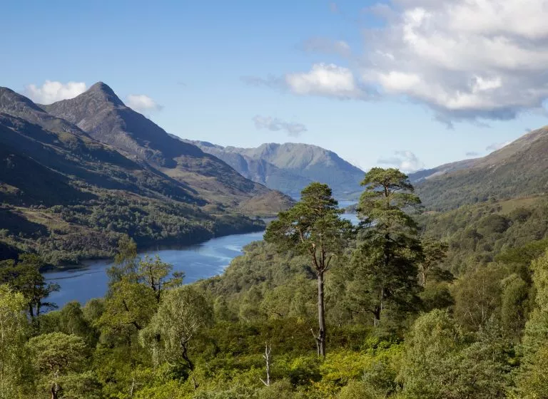 Lochs ou l'incontournable du paysage écossais - Image 2